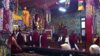 Buddhist Monks Chanting at Tharlam Monastery in Boudhanath Kathmandu Nepal [upl. by Acirahs406]