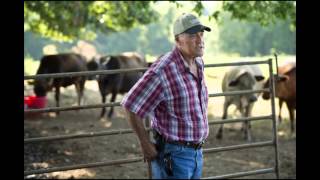 Cattle rustlers strike southern Missouri [upl. by Abdella249]