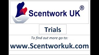 Scentwork UK L1 Trial [upl. by Aekerly]