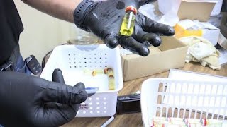 JUICED Inside an illegal East Texas steroid factory [upl. by Tlevesor127]