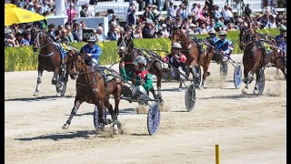 2024 Renwick Farms Dominion Trot 3200M Addington Raceway New Zealand  Just Believe 2028 [upl. by Javier]