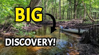 MASSIVE Discovery While Fossil Hunting amp Rockhounding in a Beautiful Florida River [upl. by Zumwalt]