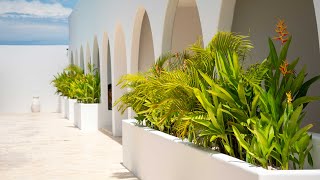 Hide and Seek Surf Resort in Popoyo Nicaragua [upl. by Llehcal]