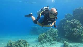 Eilat  111124  diving near border [upl. by Atteuqahs]