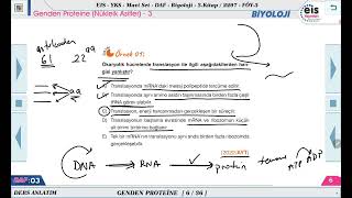 Mavi Set Biyoloji 3  Genden Proteine Genetik Şifre Protein Sentezi  3 🔬 [upl. by Leonanie51]