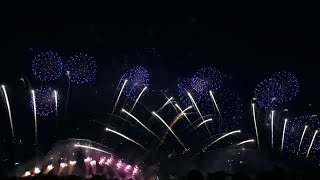 Best Happy New Year Firework New Year Firework [upl. by Ennairac]