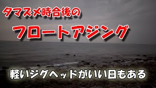 20時半からのフロートアジング釣行 [upl. by Raymund]