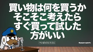 買い物は何を買うかそこそこ考えたらすぐ買って試した方がいい [upl. by Ramak807]