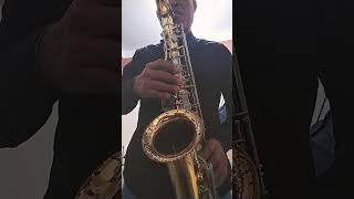 Saxofon Alto Candita Fito Olivares [upl. by Pietrek]