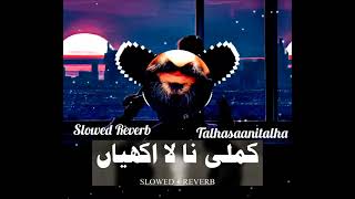 shaifulla rokhdi kamli nal la akhyain slowed Reverb song lyrics 2024 sad 😭 song [upl. by Derina]