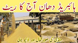 Rice rate update  today rice price in grain market in Punjab Pakistan [upl. by Kiri]