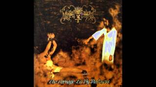 Martyrium  The Carnage Lit by Darkness Full Album [upl. by Kcirddehs666]