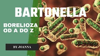 Bartonella z serii Borelioza od A do Z [upl. by Yltneb]