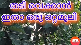 body weight increase വണ്ണം വക്കാൻ weight gain malayalam vannam vekkan tips vannam vekkan ayurvedi [upl. by Atikihc101]