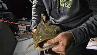 Brookville Lake Flathead Mission catfishing flatheadcatfish BrookvilleReservoir [upl. by Lengel923]