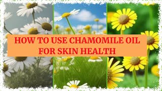 What are the Best Ways to Apply Chamomile Oil on Skin [upl. by Stanhope775]