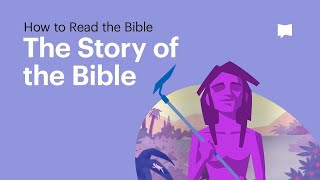 The Story of the Bible • What Its About From Beginning to End [upl. by Oslec830]