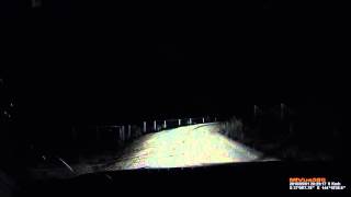 Dash cam Kangaroo attacks car [upl. by Gerri]