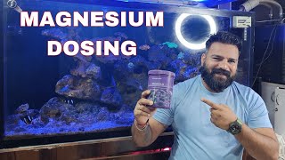 Dosing magnesium in reef tank with aquaforest [upl. by Nnewg]