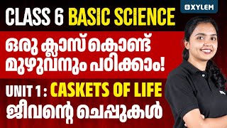 Class 6 Basic Science  Unit 1 Caskets of life  ജീവന്റെ ചെപ്പുകൾ  Xylem Class 6 [upl. by Ettennor]