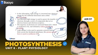 Photosynthesis revision  CSIR NET lifescience  GATE  PYQs [upl. by Aidekal]