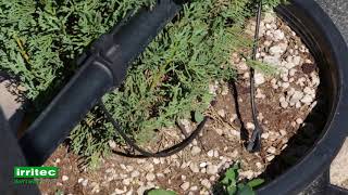 Irritec Drip Irrigation Solutions 3 [upl. by Einnod]