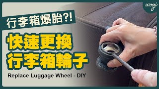 行李箱輪子爆胎了？！ 自己更換快速又省錢！ Replace Luggage Wheel DIY！ [upl. by Christan]