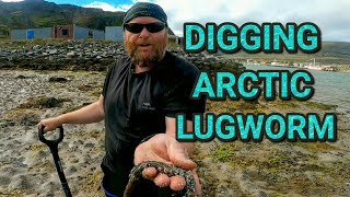 How to dig lugworm in Norway  or anywhere else [upl. by Darrej]