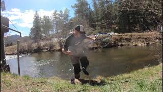 Catching a trout in under 60 seconds then another within minutes fishing flyfishing fish [upl. by Ahsiuqet]