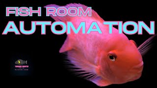 Is Fish Room Automation Worth It Hilarious Fails Inside Episode 82 [upl. by Dukie]