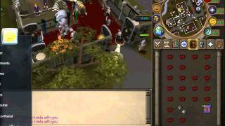 Runescape Money Guide 2012 13m PH And XP [upl. by Evonne]