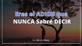 😢La REFLEXION más triste para despedir a un ser QUERIDO Fallecido  Carta al CIELO 😭😢 [upl. by Attenehs]