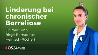 Die Inuspherese und Borreliose Neue Hoffnung für Patienten mit chronischer Infektion  QS24 [upl. by Nonnaer737]