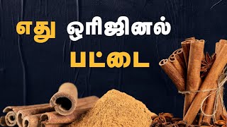 பட்டையில் இவ்ளோ ஆபத்து இருக்குதுன்னு தெரியுமா  Ceylon Cinnamon vs Cassia  24 Tamil Health [upl. by Yendyc]