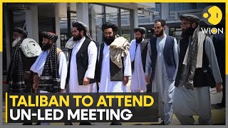 Taliban to attend UNled meeting in Qatar on Afghanistan  Latest English News  WION [upl. by Shelagh421]