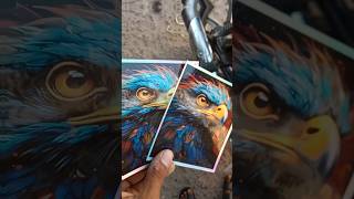 Only 50 rupees 😱 splendor bike shocker sticker short bikemodifid sticker [upl. by Eelyab]