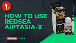 How to Use Aiptasia X Effective Aiptasia Removal Guide [upl. by Bearce85]