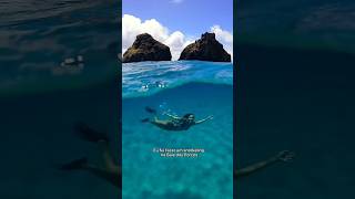 O que você faria 😱 noronha gopro snorkeling [upl. by Teddy]