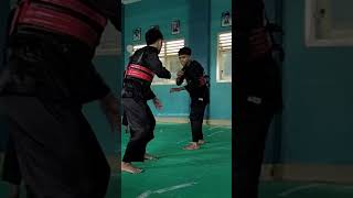 Teknik Ungkitan Pencak Silat [upl. by Yellas807]