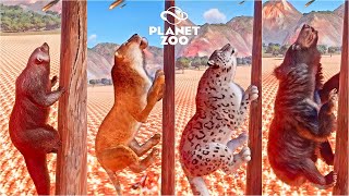 Binturong Maltese Tiger Snow Leopard American Lion Sloth Bear  Planet Zoo Animals Race [upl. by Kaylil]