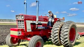 INTERNATIONAL 1468 Tractor Plowing [upl. by Alacim812]