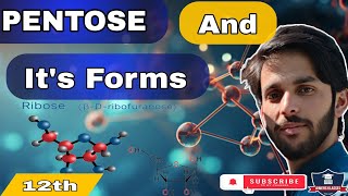 PENTOSES  structure of Ribose and Ribulose  biomolecule biology ribose [upl. by Lenwood194]