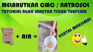 CARA MELARUTKAN CMC  NATROSOL AGAR TIDAK TERPISAH DARI AIR [upl. by Eniawd]