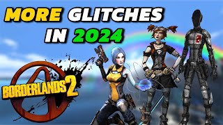 MORE Glitches In Borderlands 2 That Still Work In 2024 [upl. by Sitsuj882]