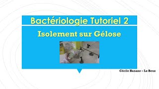 Bactériologie Tutoriel 2  Faire un isolement sur gélose  étude macroscopique des colonies [upl. by Conant]