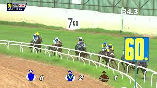 DHANTERAS THE CHAMPION TRAINER CUP DIVI100 [upl. by Schmitt]