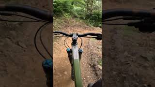 MTB Sheep on the trail💥RISCA CWMCARN mtb mtblife wales enduro trail mountainbike bike [upl. by Riana504]