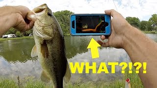 How to Turn Your Phone into a FISH FINDER for Bank Fishing [upl. by Adamek]