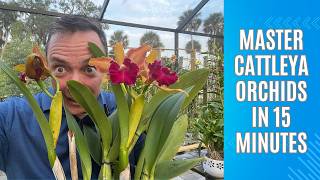 Master Cattleya Orchids in 15 Minutes [upl. by Kern]