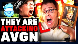 Woke Gen Z BLAST Angry Video Game Nerd For Donald Trump Winning AVGN Blamed By Kamala Harris Dorks [upl. by Elsie]